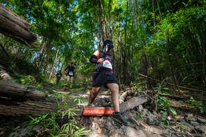 BIB: 
                            <button type="button" onclick="openModal(19388496)" class="btn btn-primary btn-sm float-right btn-popup" data-toggle="modal" data-target=".modal-high-quality">
                        <i class="fas fa-shopping-cart"></i> Add to Cart
                    </button>
                                            <button type="button" onclick="isThisMe(19388496, true)" class="btn btn-success btn-sm float-right btn-popup btn-isme hidden" data-toggle="tooltip" data-placement="bottom" title="นี่คือรูปของคุณใช่ไหม คลิกที่นี่เพื่อเอาเข้าอัลบั้ม">
                        <i class="fas fa-plus"></i> Add to album
                    </button>
                    <button type="button" onclick="isThisMe(19388496, false)" class="btn btn-warning btn-sm float-right btn-popup btn-isnotme hidden">
                        <i class="fas fa-ban"></i> Remove from album
                    </button>